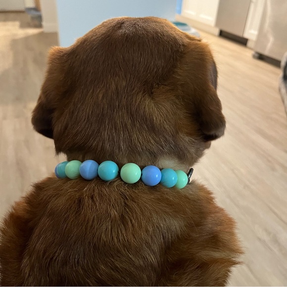 Handcrafted Beaded Dog Collar - Luna - Teal and Green Collar - Picture 5 of 16